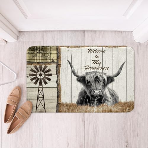 Feelyou Highland Cow Bath Mat 16x24 Inch Animal Rugs for Bathroom