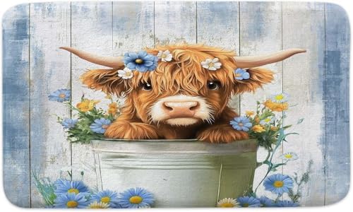 Funny Highland Cow Bath Rug Farmhouse Style 16x24in