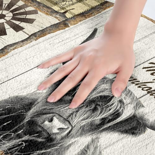 Feelyou Highland Cow Bath Mat 16x24 Inch Animal Rugs for Bathroom