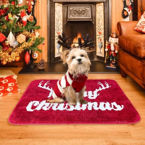 BOANKODU Christmas Bath Mat 20x32 Inches
