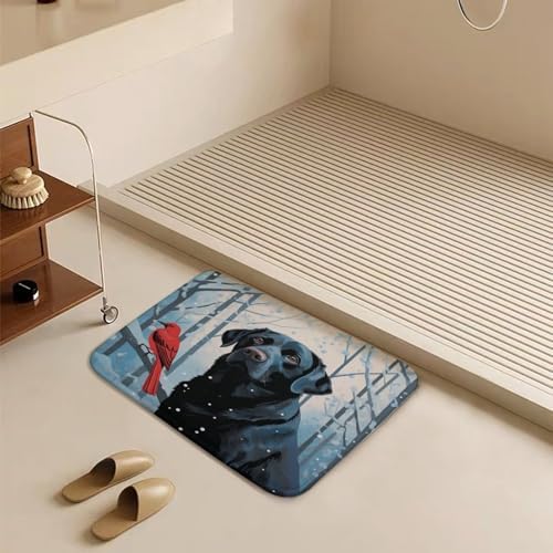 HighonHi Best Dog Bath Rug Christmas Red Bird 16x24