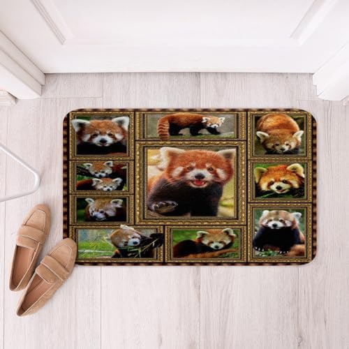 Feelyou Red Panda Bath Mat 16x24 Inch 1