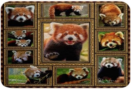 Feelyou Red Panda Bath Mat 16x24 Inch 1