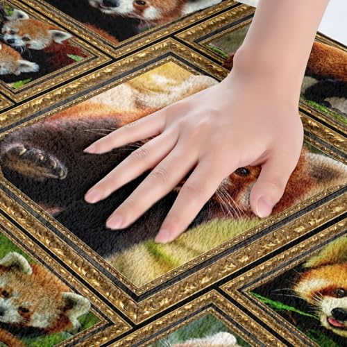Feelyou Red Panda Bath Mat 16x24 Inch 1