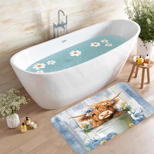 Funny Highland Cow Bath Rug Farmhouse Style 16x24in