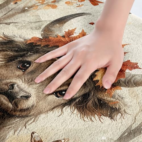 Feelyou Highland Cow Bath Rug for Kids 16x24 Inch