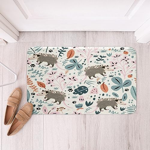 Feelyou Opossum Bath Rug 16x24 Inch Cute Animal Decor