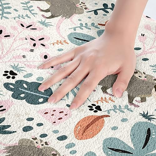 Feelyou Opossum Bath Rug 16x24 Inch Cute Animal Decor