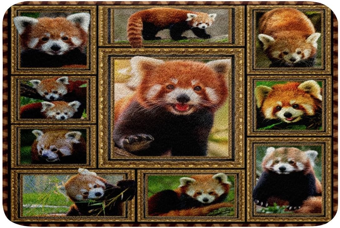 Feelyou Red Panda Bath Mat 16x24 Inch 1
